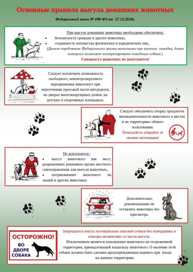 Основные правила выгула домашних животных