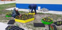 Приобретение уличных вазонов и цветочной рассады для квартала Школьный»